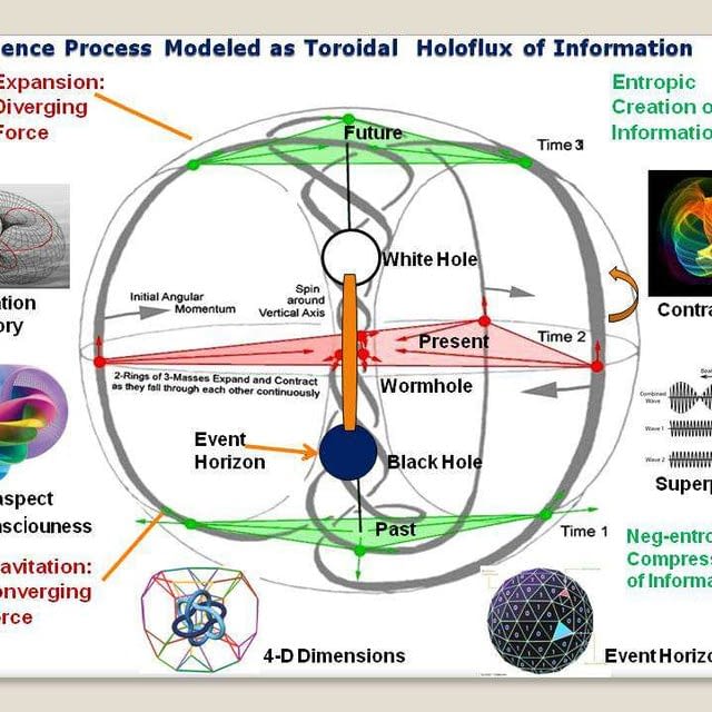 Magnetic Field and Optical Illusions Logo References ...