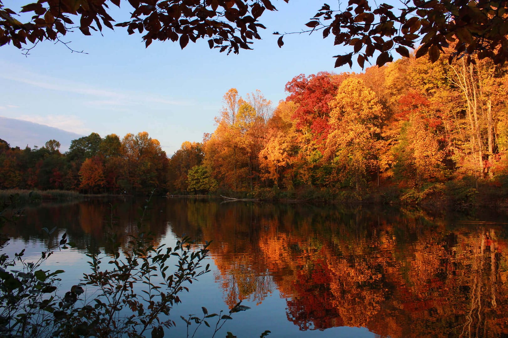 red and orange trees in the woods next to lake with reflection