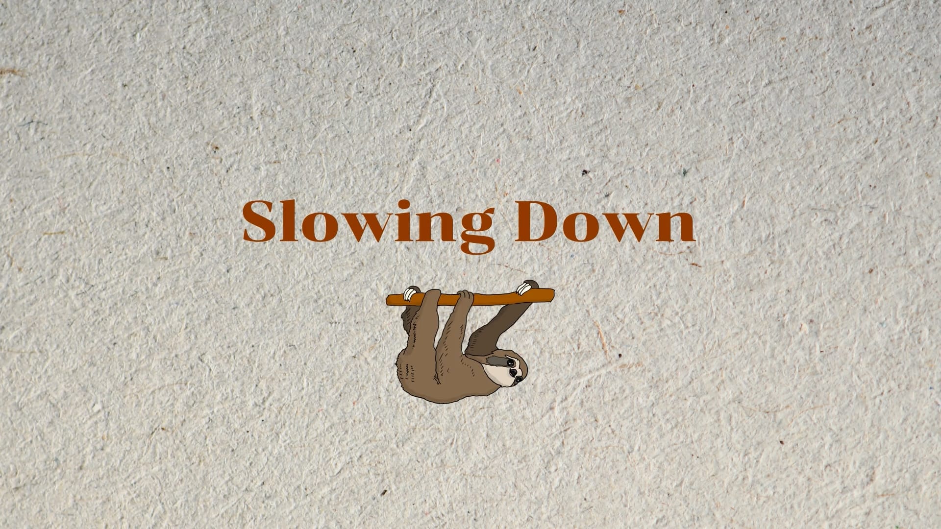 slowing down_3.3.1