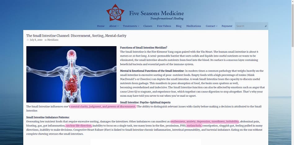 description of the small intestine meridian and the trigger point SI-11 on the center of the shoulder blade